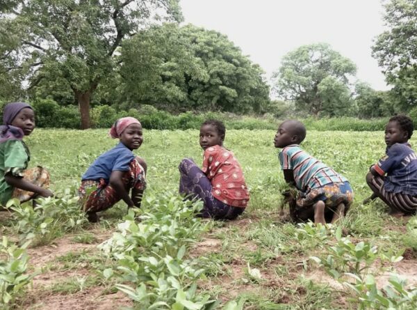 Creación escuela de Agricultura para jóvenes nómadas en Nakinomet, Kenia