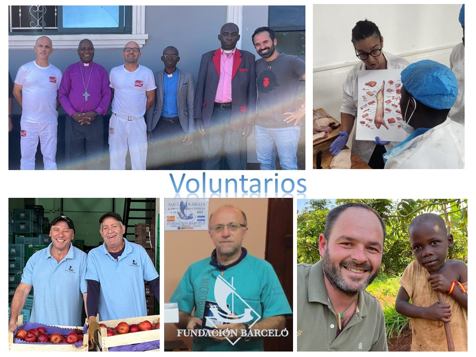 Día Internacional del Voluntario