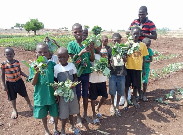 La Fundación SEAIC colabora en un proyecto de seguridad alimentaria en Kenia