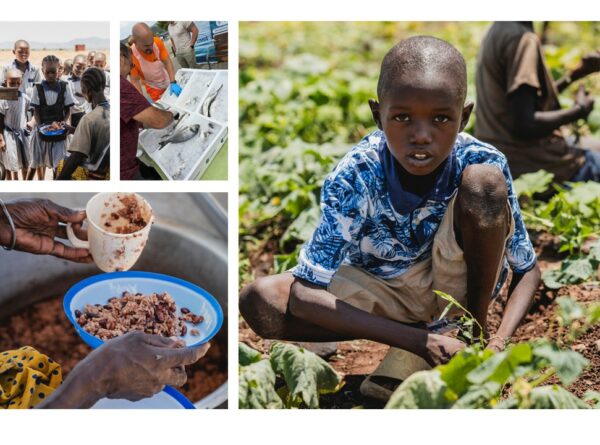 Día Mundial de la Alimentación