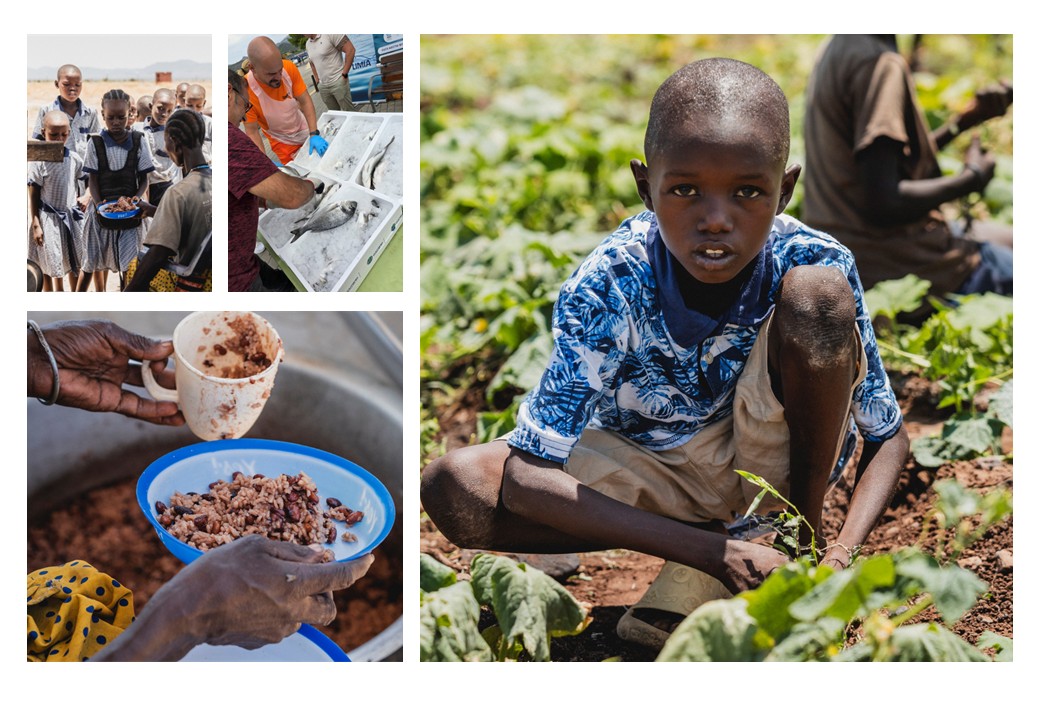 Día Mundial de la Alimentación