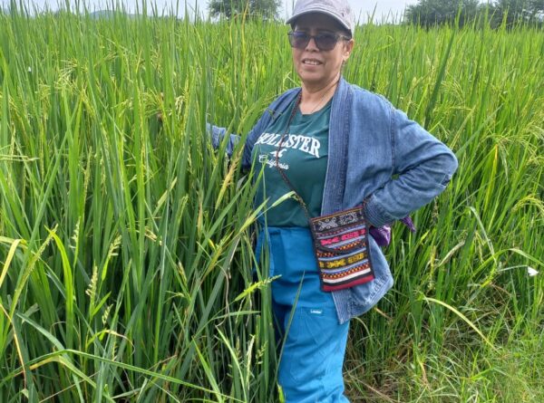 Microcréditos agropecuarios en Nicaragua