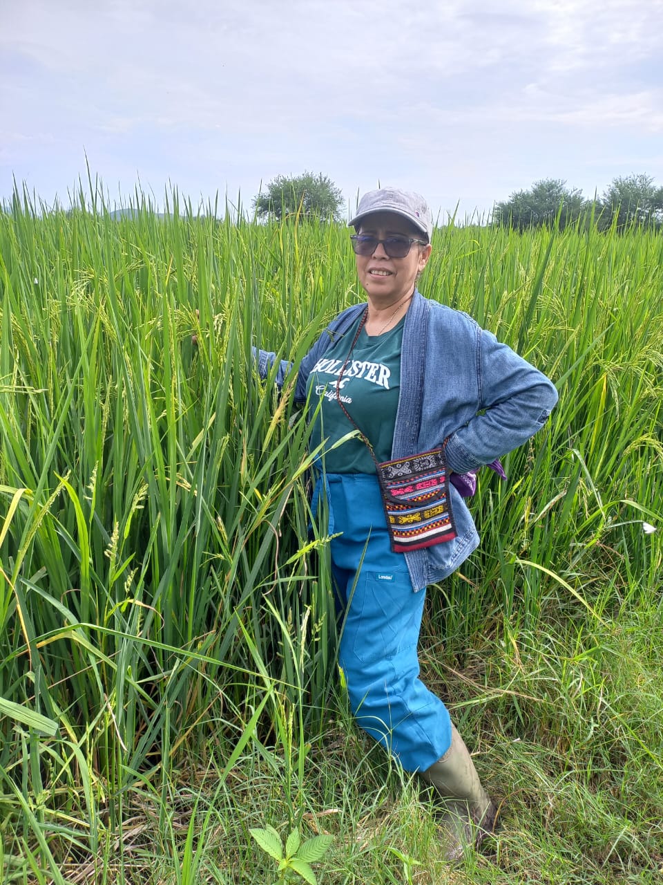 Microcréditos agropecuarios en Nicaragua